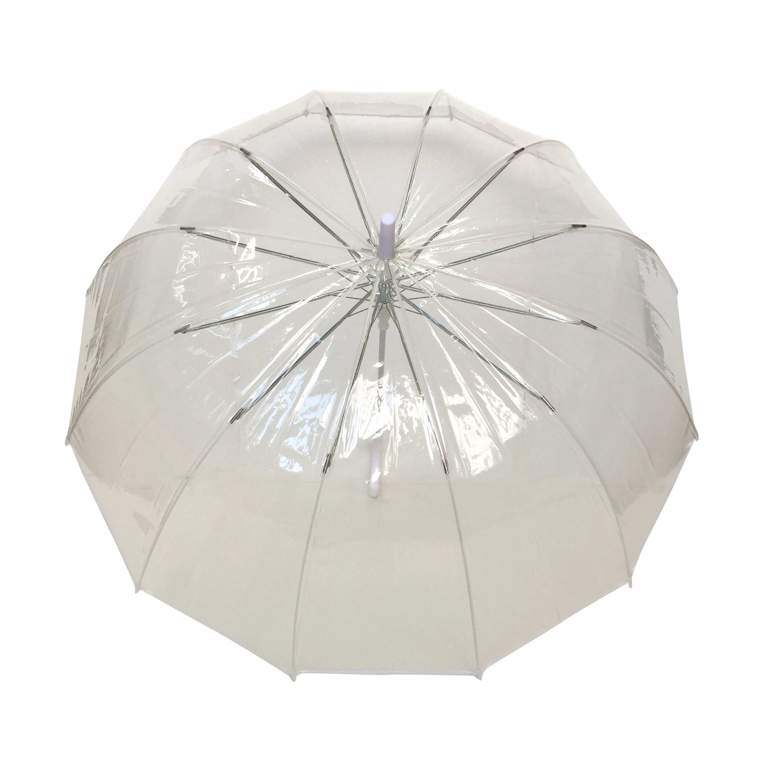 Parapluie droit femme automatique dôme transparent petite bordure blanche