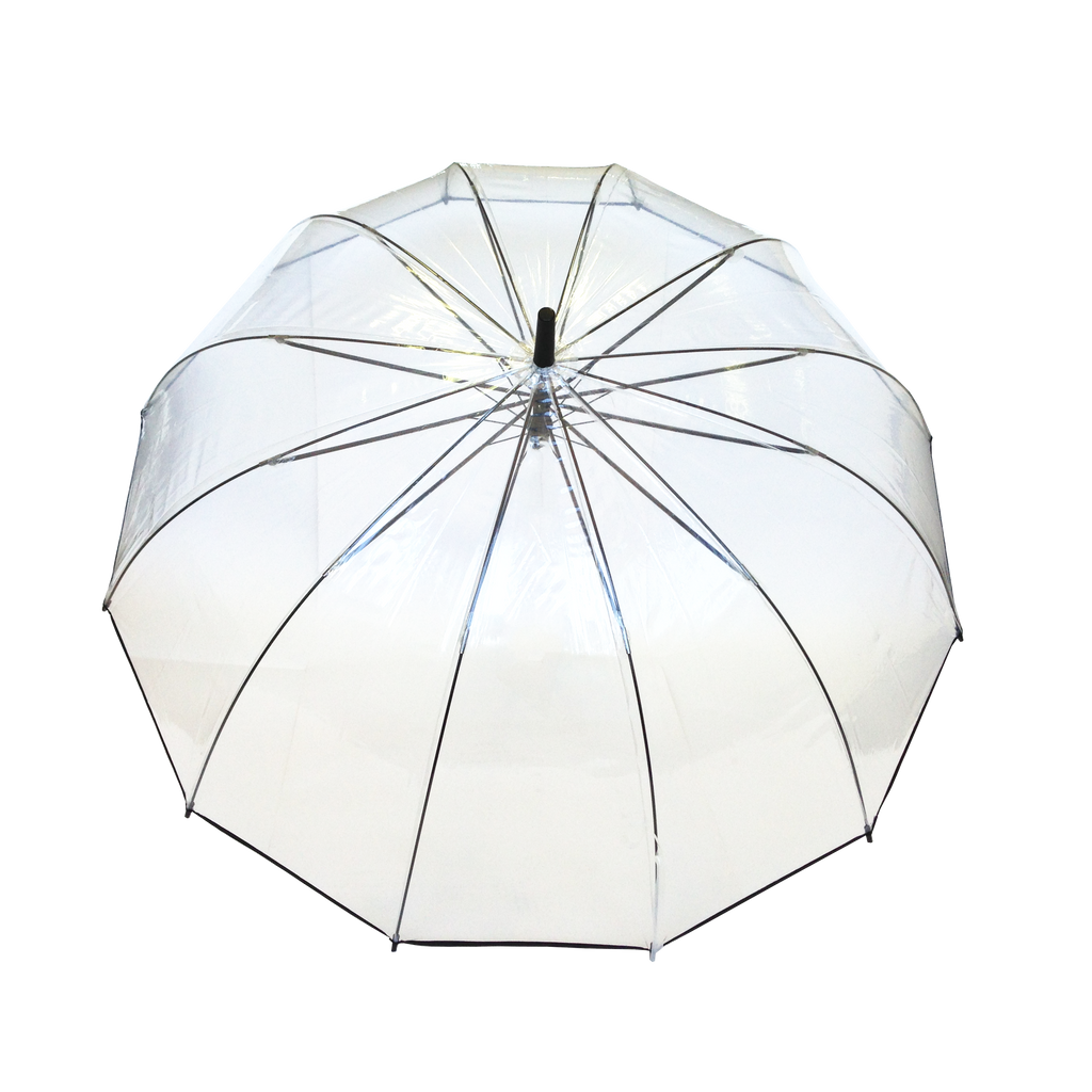 Parapluie droit femme automatique dôme transparent petite bordure noir