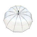 Parapluie droit femme automatique dôme transparent petite bordure noir